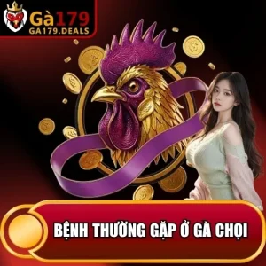 https://ga179.deals/wp-content/uploads/2026/04/benh-thuong-gap-o-ga-choi.webp