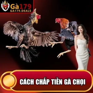 https://ga179.deals/wp-content/uploads/2026/04/cach-chap-tien-ga-choi.webp