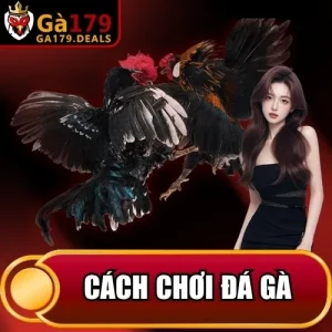 https://ga179.deals/wp-content/uploads/2026/04/cach-choi-da-ga.webp