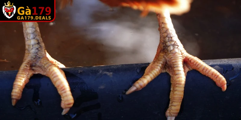 Việc ép quá tay hoặc bẻ đột ngột có thể gây bong gân hoặc tổn thương khớp