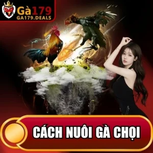 https://ga179.deals/wp-content/uploads/2026/04/cach-nuoi-ga-choi.webp
