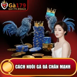 https://ga179.deals/wp-content/uploads/2026/04/cach-nuoi-ga-da-chan-manh.webp