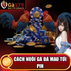 https://ga179.deals/wp-content/uploads/2026/04/cach-nuoi-ga-da-mau-toi-pin.webp