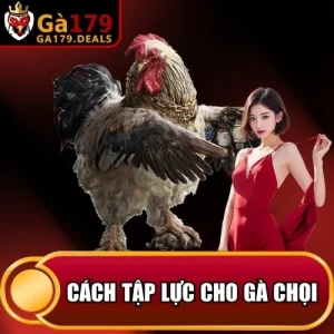 https://ga179.deals/wp-content/uploads/2026/04/cach-tap-luc-cho-ga-choi.webp
