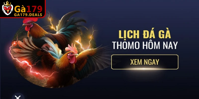 Kết nối mạng lỗi, không ổn định khiến quá trình gửi dữ liệu bị gián đoạn