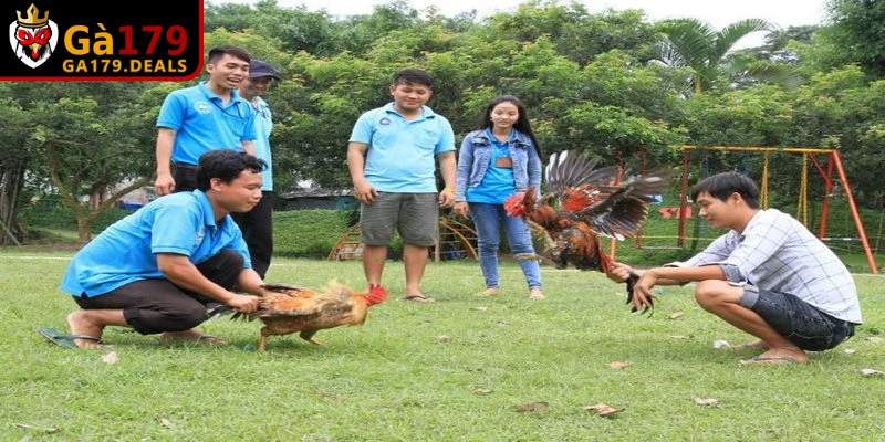 Cách điều trị bệnh hiệu quả là sát trùng, cải thiện chuồng nuôi