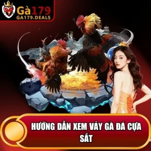 https://ga179.deals/wp-content/uploads/2026/04/huong-dan-xem-vay-ga-da-cua-sat.webp
