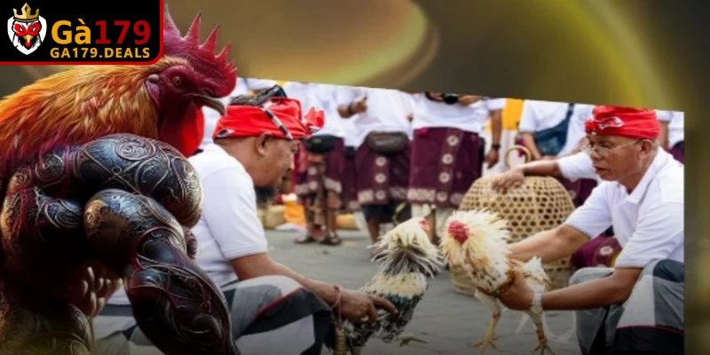 Tiến hành cài đặt ứng dụng và mở lên để đăng nhập tài khoản