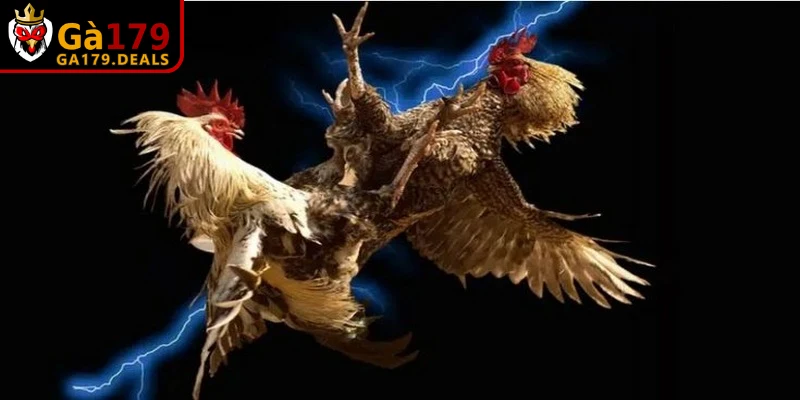 Bảo quản đúng cách giúp duy trì dược tính của thuốc bổ, tránh lãng phí