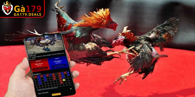 Video đạt chuẩn chất lượng Full HD mang lại hình ảnh sắc nét